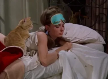 auto gjume 750x4061774895404 1