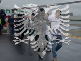 auto narkos1773135423