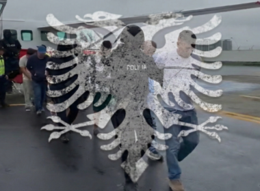 auto narkos1773135423