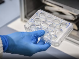 auto rtest1772902726