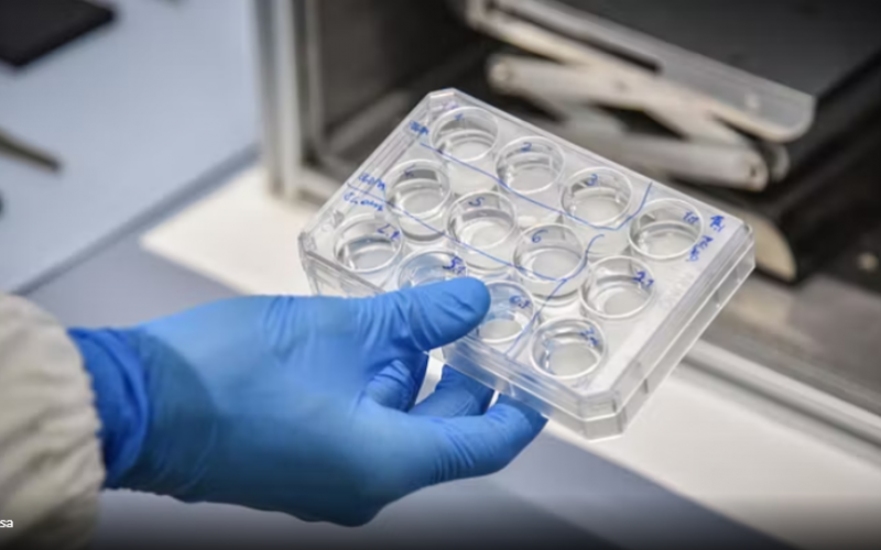 auto rtest1772902726