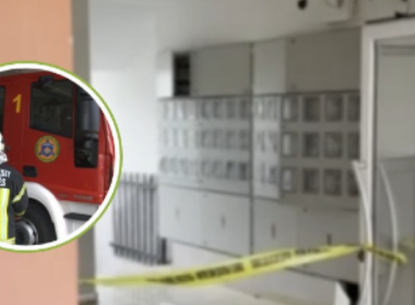 850x600 IMG 04731776346162