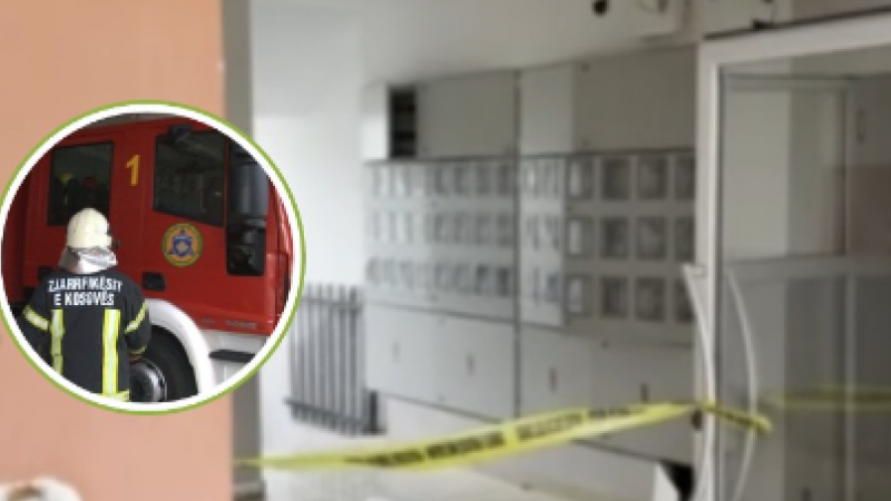 850x600 IMG 04731776346162