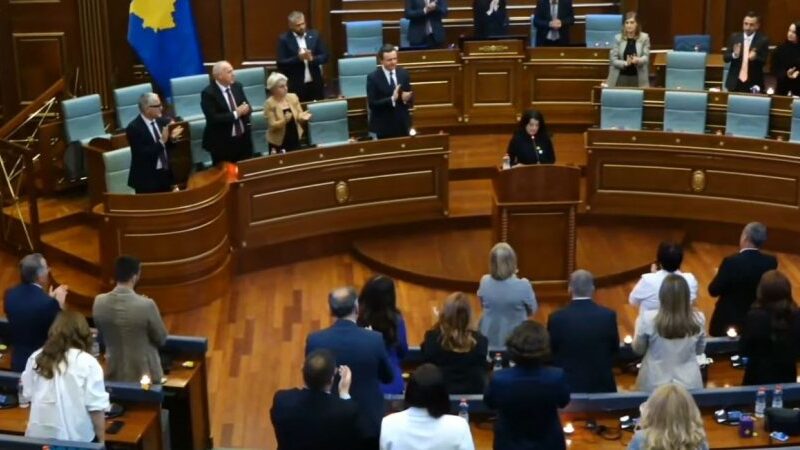 850x600 IMG 69761776181748