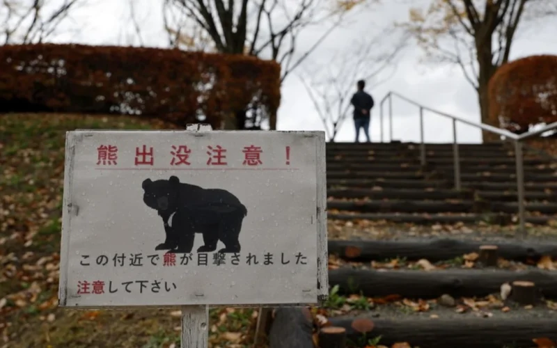 auto 1777311075xjapan bear 7231777313874