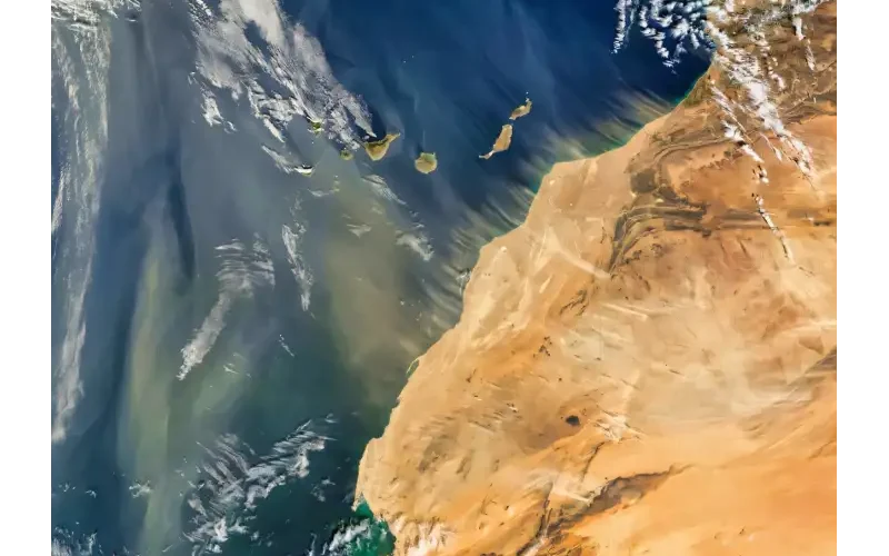 auto IMG 83841775199777