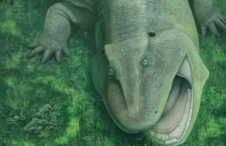 auto SALAMANDRA1775803044