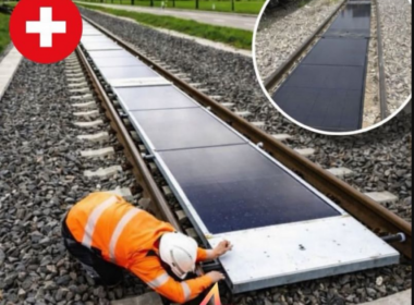 auto Screenshot 11775919123