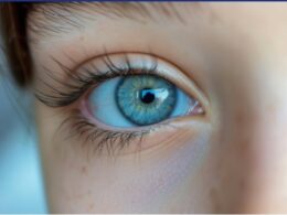 auto Screenshot 21775111244