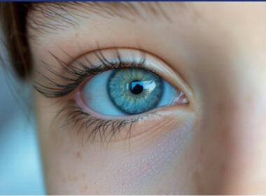 auto Screenshot 21775111244