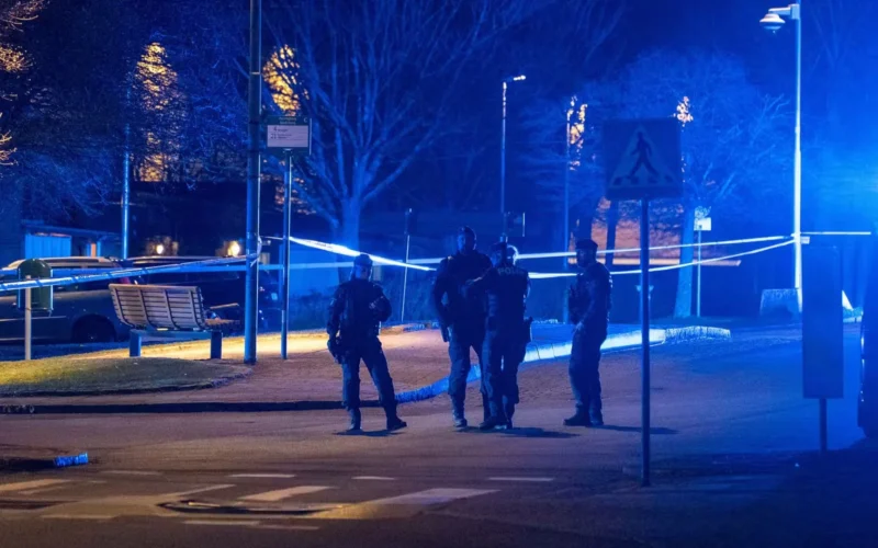 auto Untitled design 6 61776161384